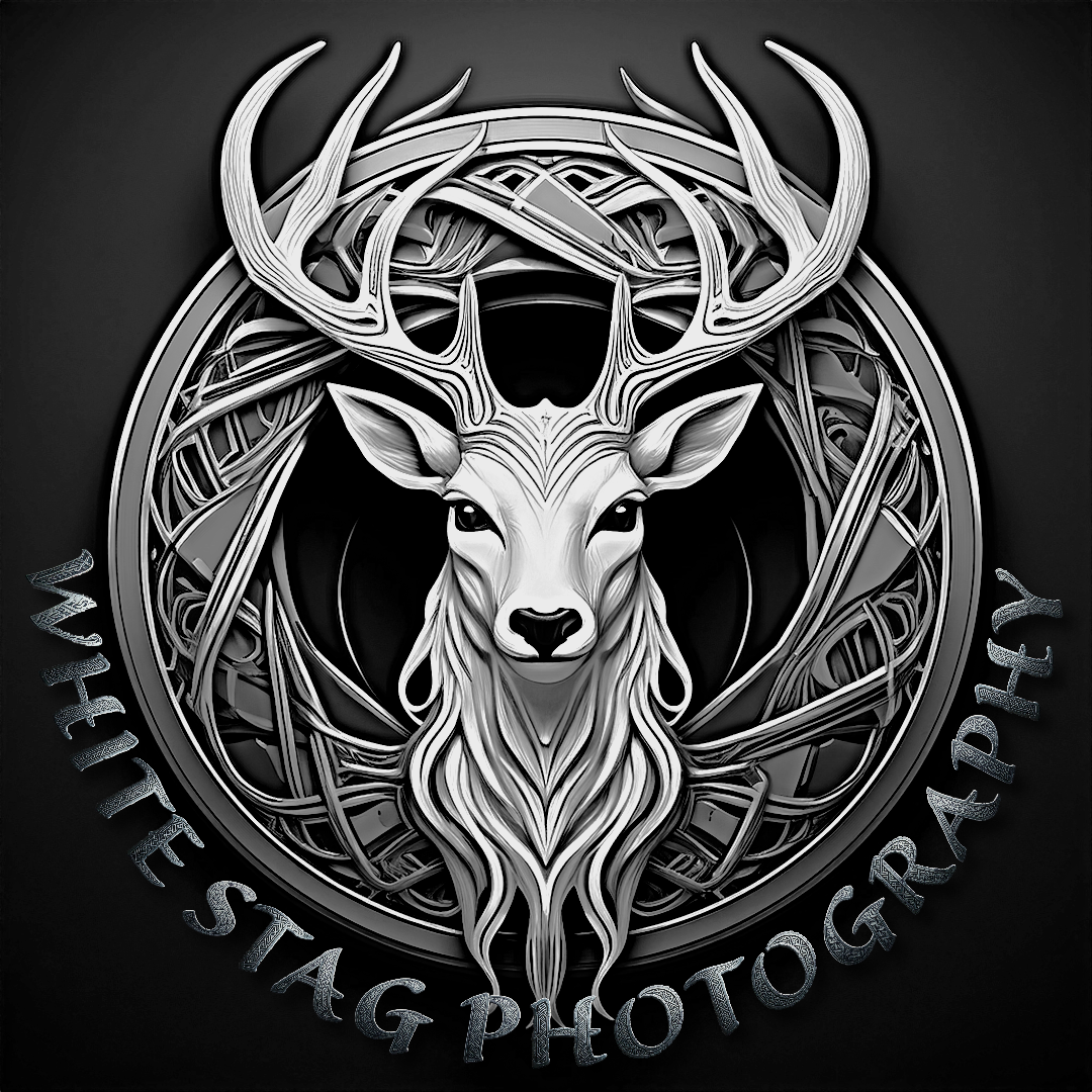 White Stag Wedding Photography