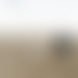 What to Expect From Utah Year Round