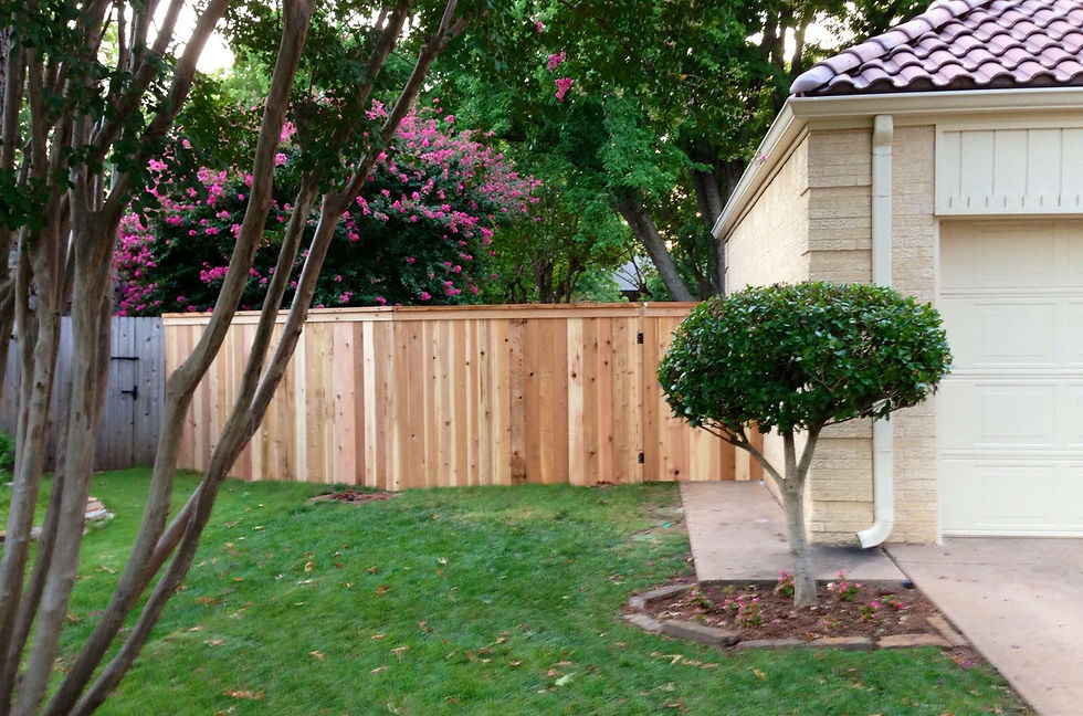 6" Panel Fence with Top Rail