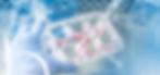 Organoids and 3D tissues preserved using structural cryopreservation technology