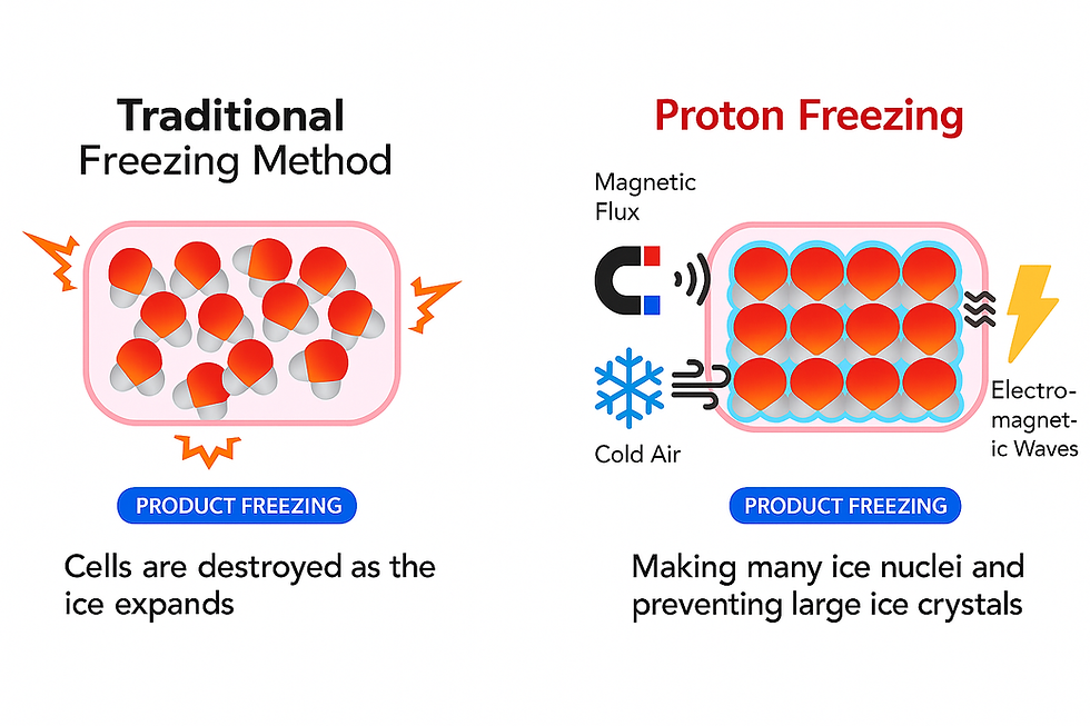 Magnetic Freezing Technology