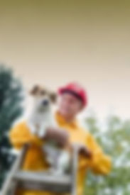 pet safety