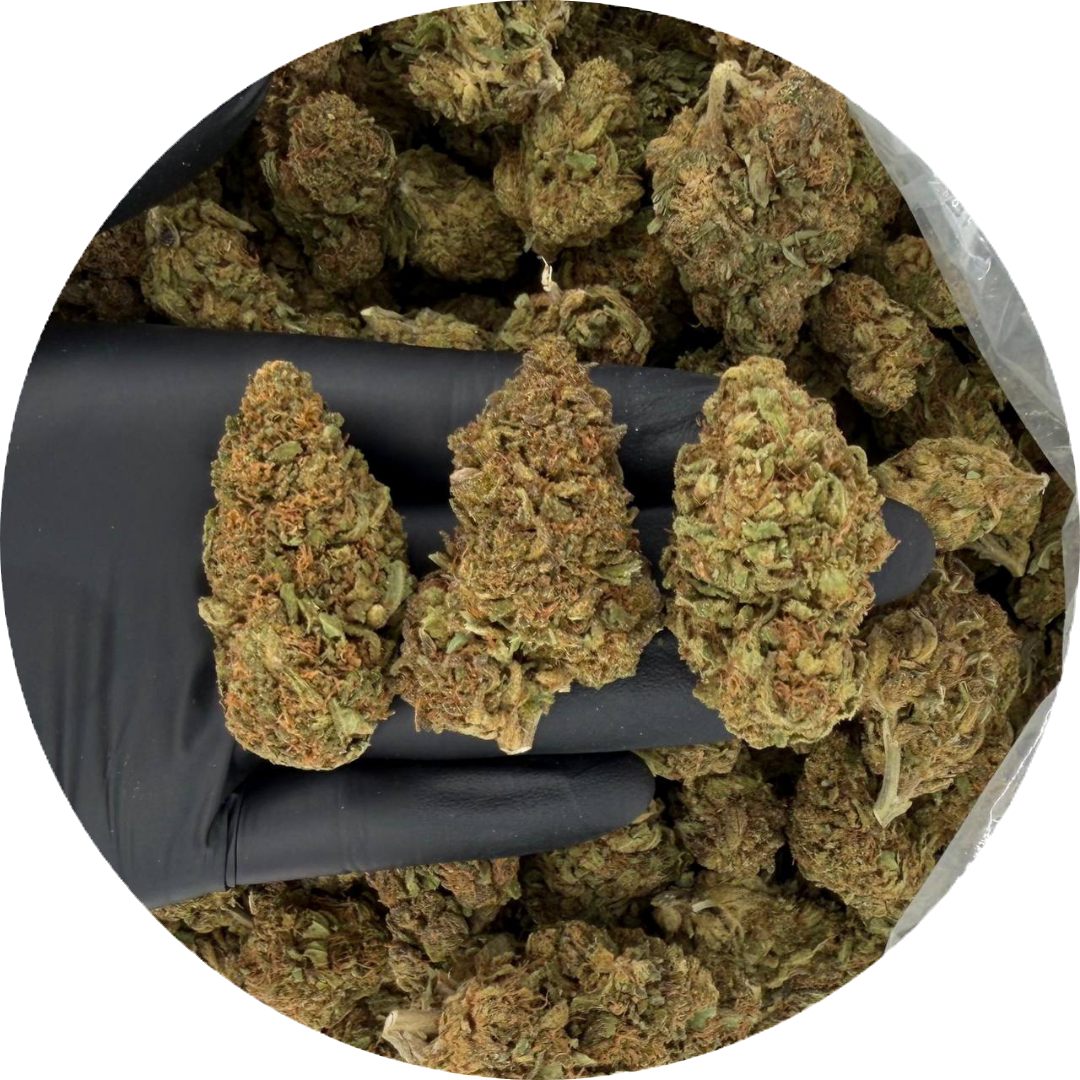 Bubba Kush | 2 Options
