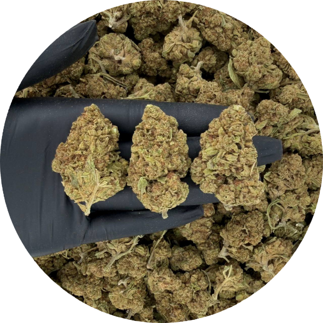 Platinum Kush I Mid Shelf