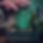 GS-spring theme.png