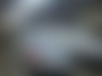 Exploring Tokyo: From Last Minute Adventures to Affordable Eats and Day Trips to Hakone