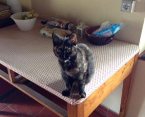 The Night Tuscany Tested Us