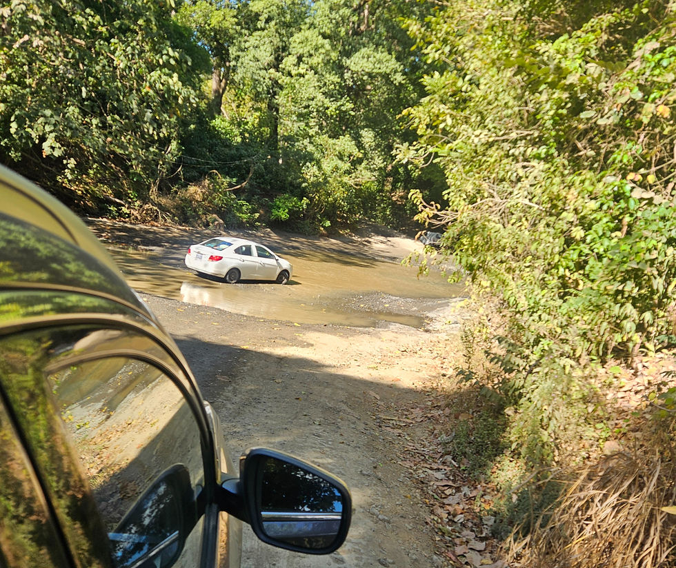 Monkey trail Crossing after rainy season