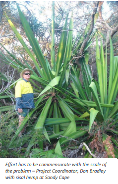 Screenshot 2024-08-23 203106.png