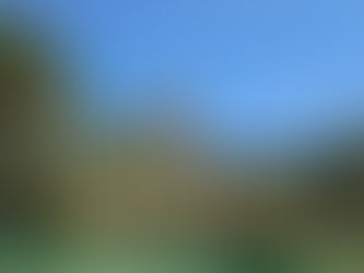 Barcelona, the Doctor, and a Week on the Ground