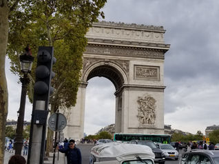How I Nearly Got Taken Out by a Tree in Paris