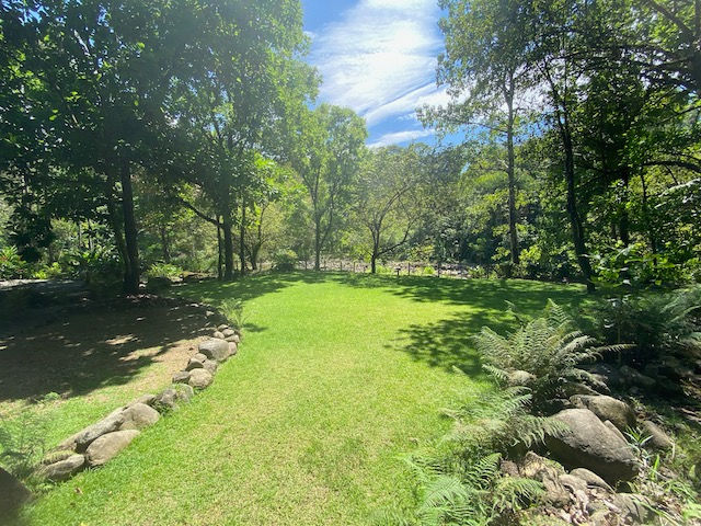 Grass Area
