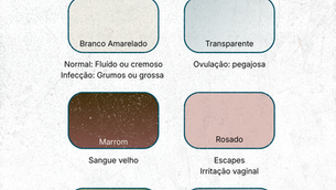“Ilustração minimalista de uma paleta de cores em degradê (transparente, branco, amarelo, cinza, verde e rosado) ao lado de um calendário, simbolizando o monitoramento do corrimento vaginal ao longo do ciclo.”