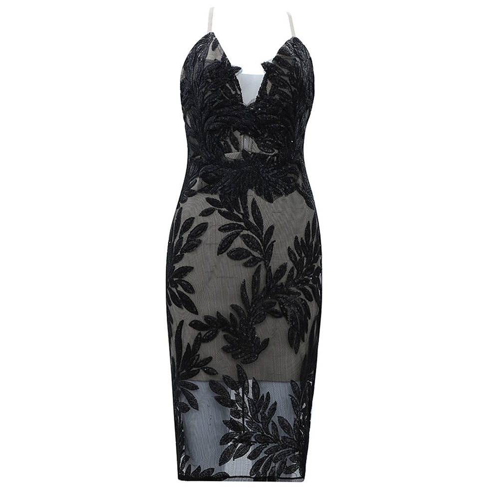 Thumbnail: Rosaire Sleeveless Embroidered Mini Tulle Bandage Dress