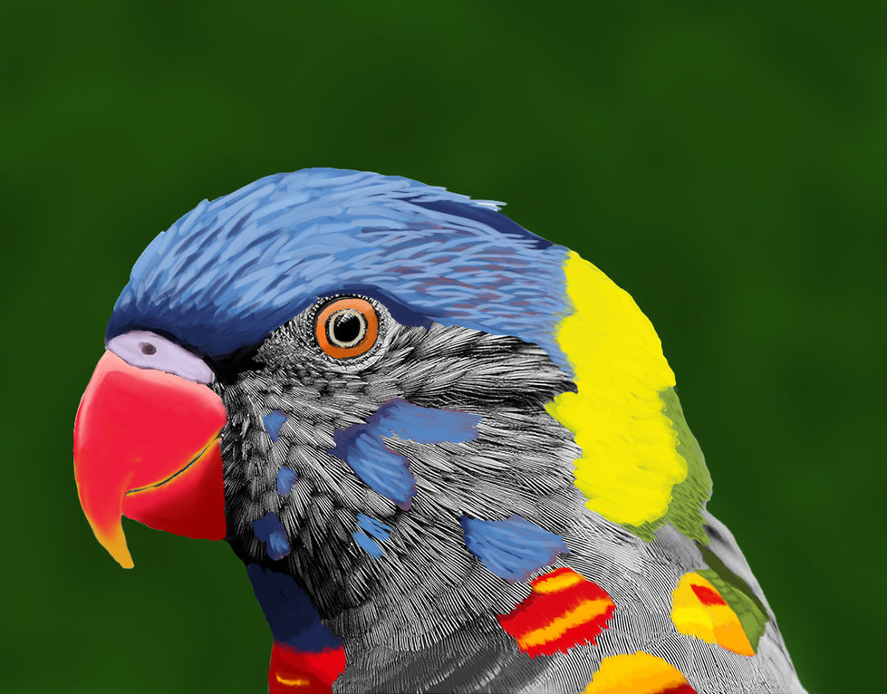 a close up of a colorful parrot with a green background. The parrot photo is black and white and has been partially painted.