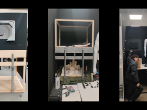Final Major Project - Week 9