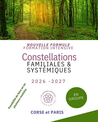 Formation Constellations en groupe
