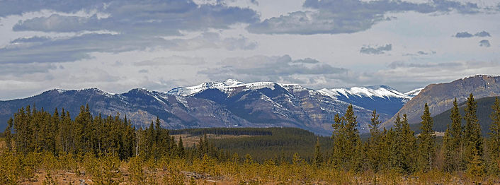wild horses_13_panorama e.jpg