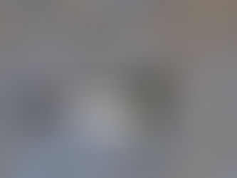 Wildlife and nature walk in Carburn Park February 2022.