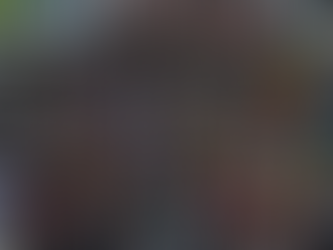 The Record High Border Crossing: US Immigration Crisis