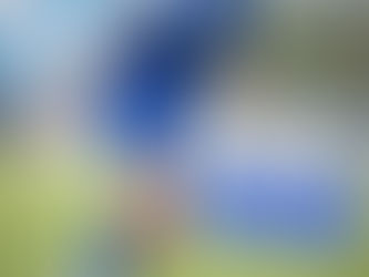 Днес е празник - Левски играе!