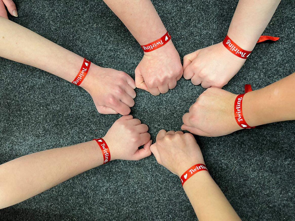 Miniature : BRACELETS EVJF-EVG