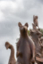 Kanga