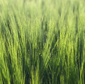 40804CB3-9D55-47C4-A647-80C75F214C13.jpeg