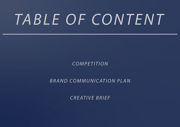 Creative Portfolio Alfonso Baron_page-0003.jpg