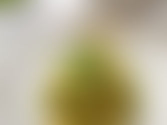 Homemade Gnocchi w/ Peas & Pesto