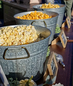 Screenshot 2023-11-09 at 11.55.29 AM.png