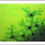 Thumbnail: Greetings card front, Strain, microbiology inspired lime green abstract by Heidi Hodkinson with white border