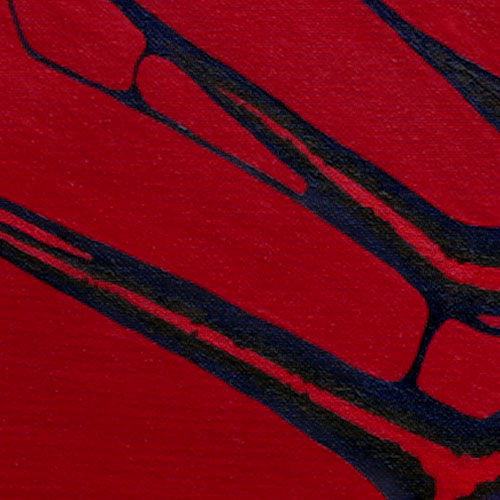 Thumbnail: Close up of blue pattern on red. Neural Gateway, painting by Heidi Hodkinson. Innermind to outerspace.