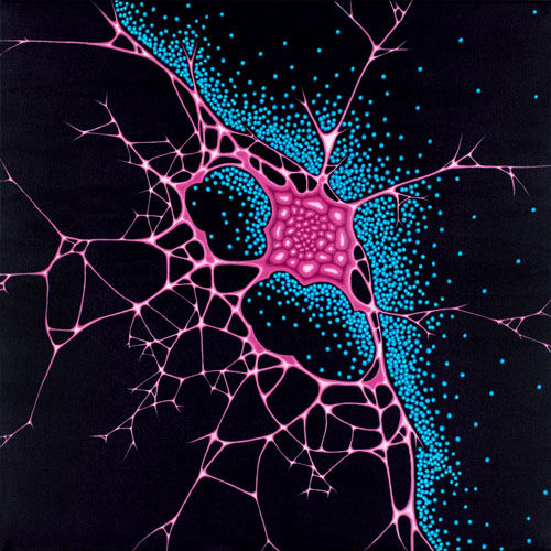 Sensate, abstract neuroscience painting by Heidi Hodkinson. Pink butterfly neural net & blue neurons