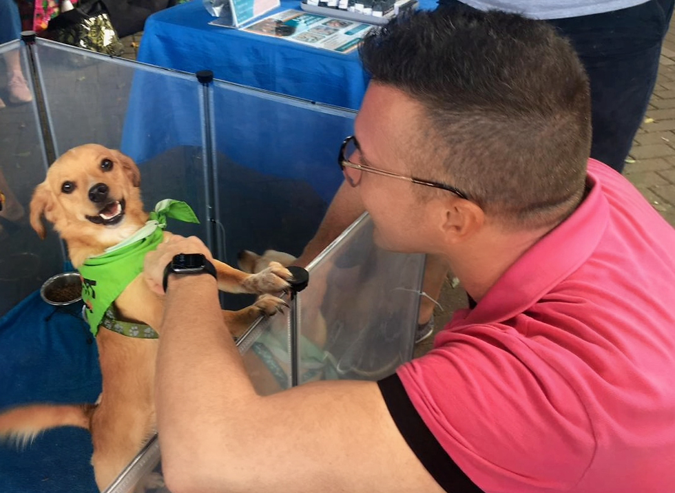 Waymon Hudson meeting rescue puppy Rose at a Costa Rican adoption fair — the moment before she jumped into his arms and changed everything