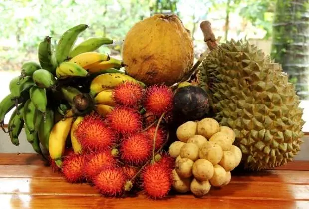 A colorful pile of Costa Rican tropical fruits including rambutan, bananas, coconut, and durian, displayed on a wooden table.