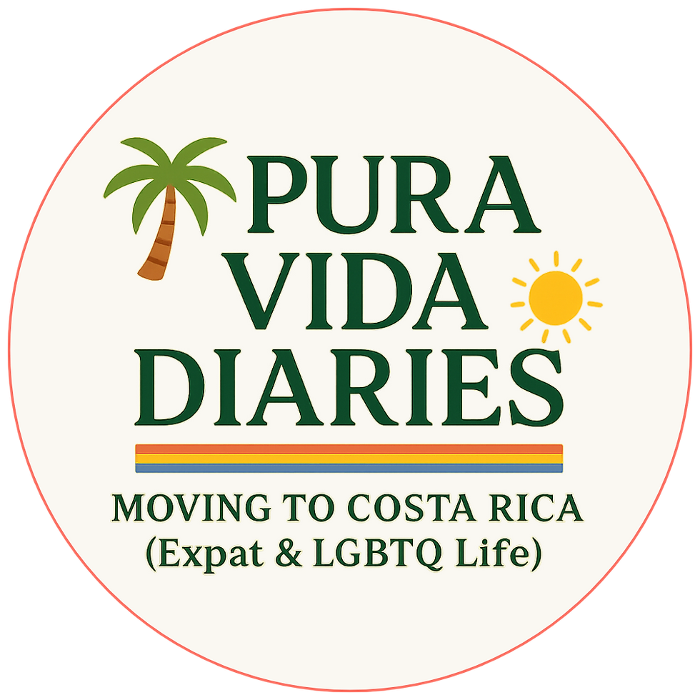 Pura Vida Diaries logo with a palm tree, sun, and text: “Moving to Costa Rica (Expat & LGBTQ Life)."