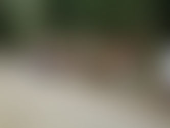 Capsu-Tapaz Conducts Clean Up Drive: Gearing Up for ISO Certification by Jovilyn Llamo