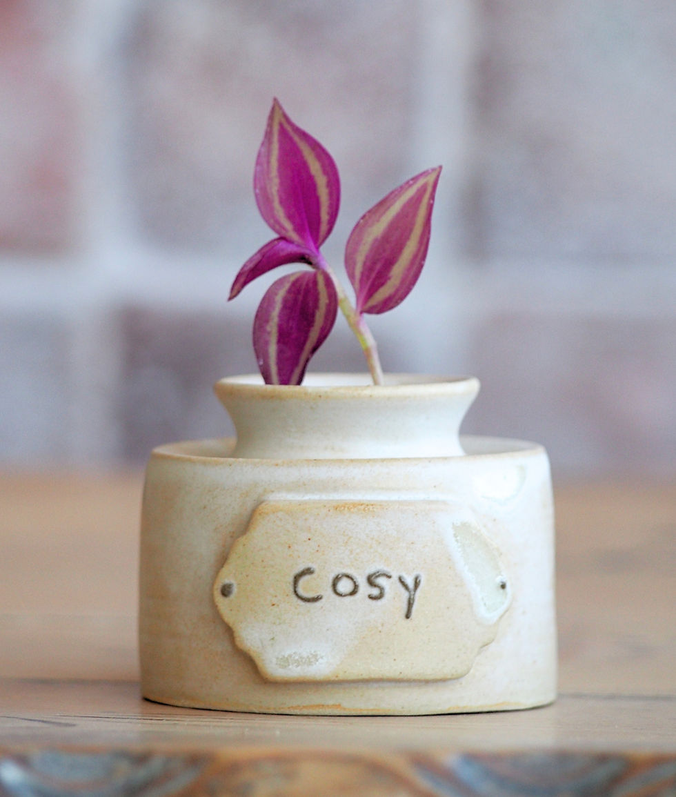 Miniature : Petites Fioles