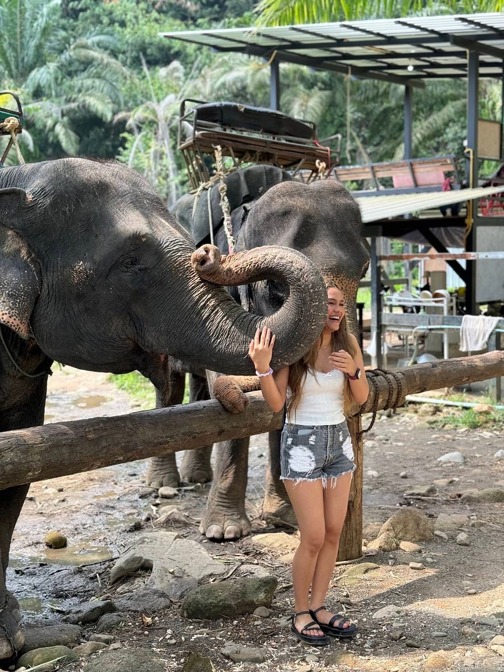 Thumbnail: Program 1 Rafting 5.5 km.+Elephant 30 min.+Flying Fox