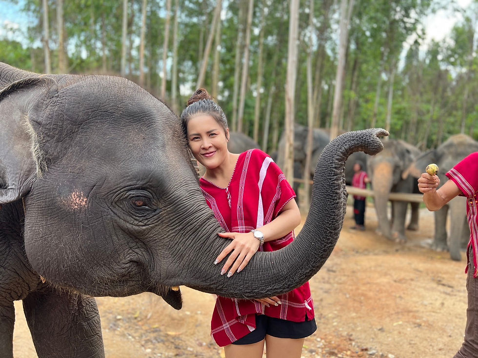 Thumbnail: Feeding & Showering 1.30 Hours Join Tour From Phuket