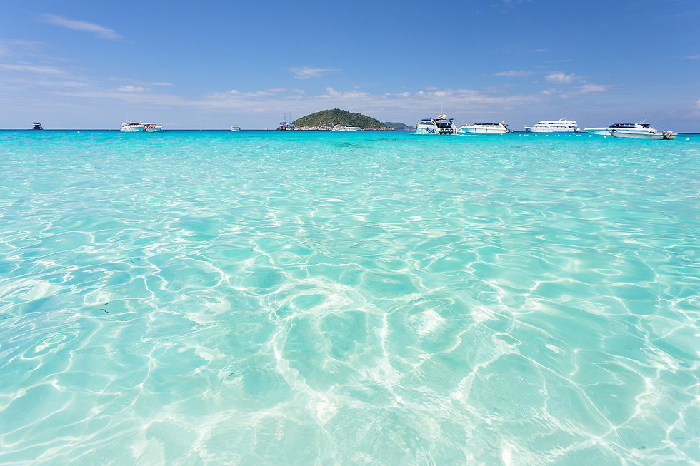 Thumbnail: Similan Island 1 Day Trip Join Tour By Speedboat