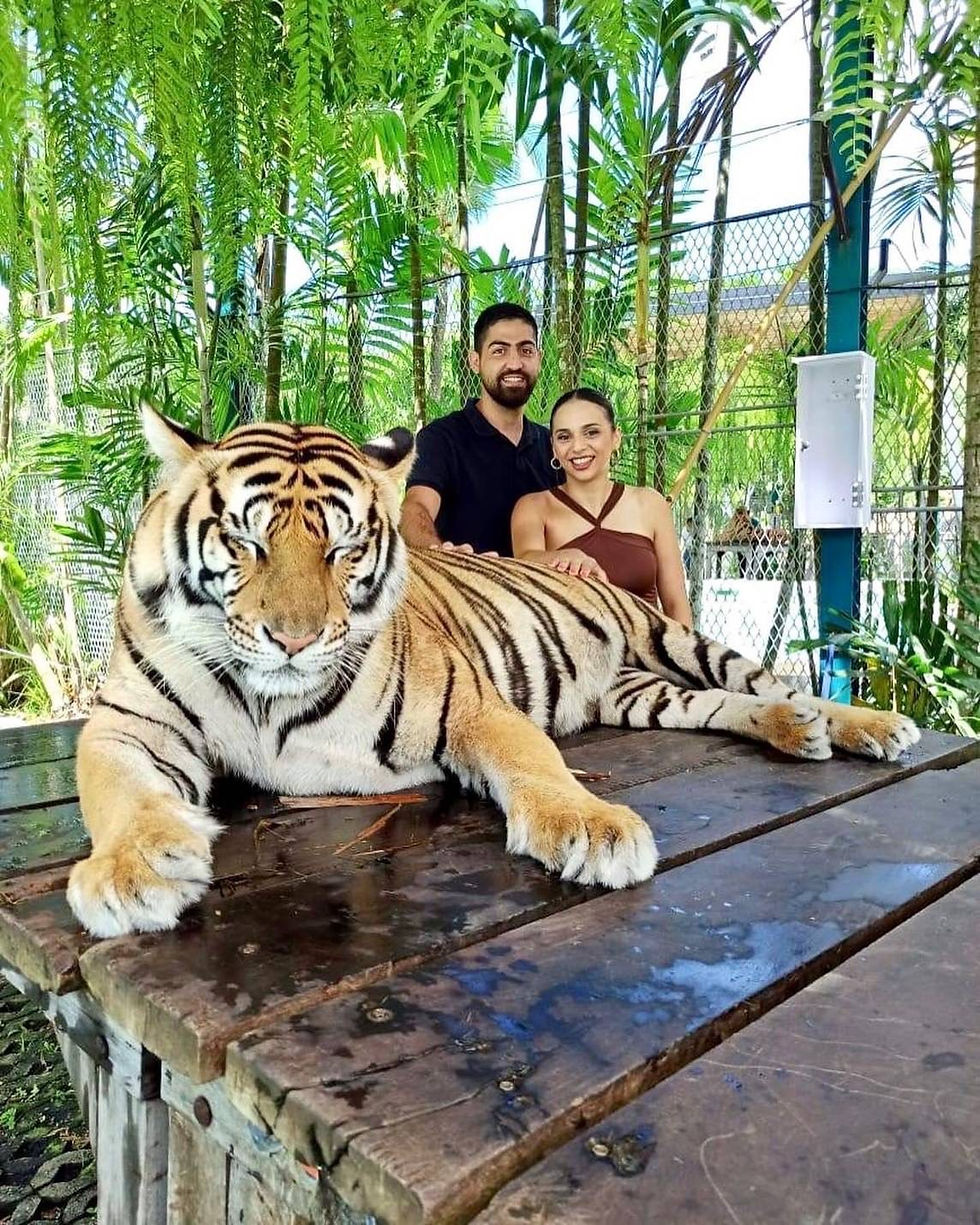 Thumbnail: City Tour Phuket Program : A