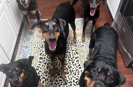 Blackwell Family Photo.png