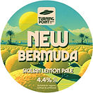 Turning Point New Bermuda.jpeg