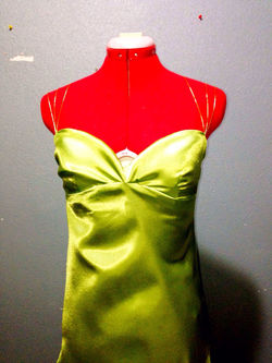 Bias Dress (Detail View)