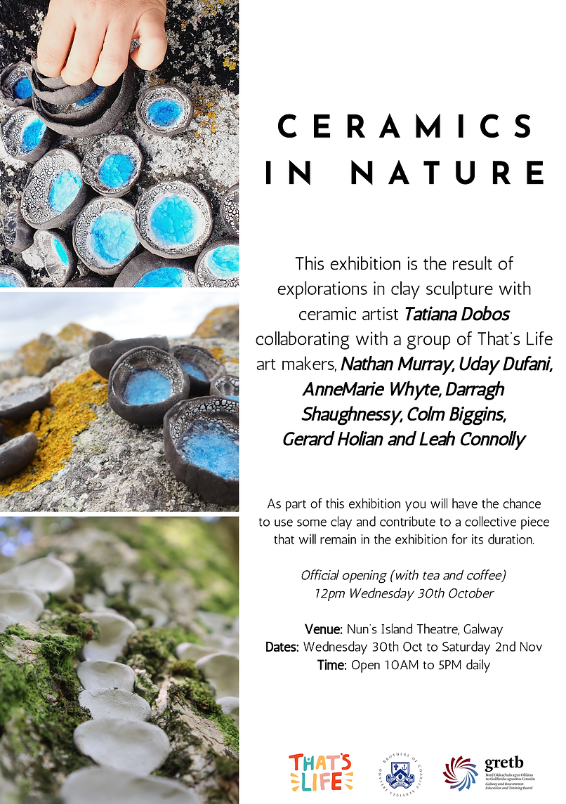 Ceramics In Nature - Poster.png