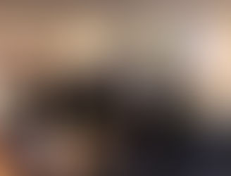 'The Cunning Little Vixen'