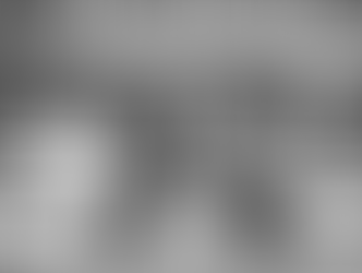 HYE Society: How Armenians Shaped the Central Valley