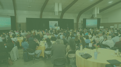 Semana 1 del Sprint de primavera (17 de mayo de 2024)